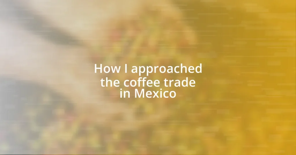 How I approached the coffee trade in Mexico