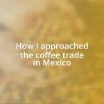 How I approached the coffee trade in Mexico