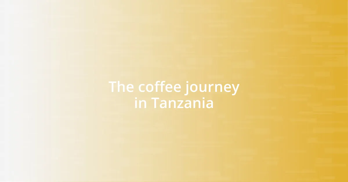 The coffee journey in Tanzania
