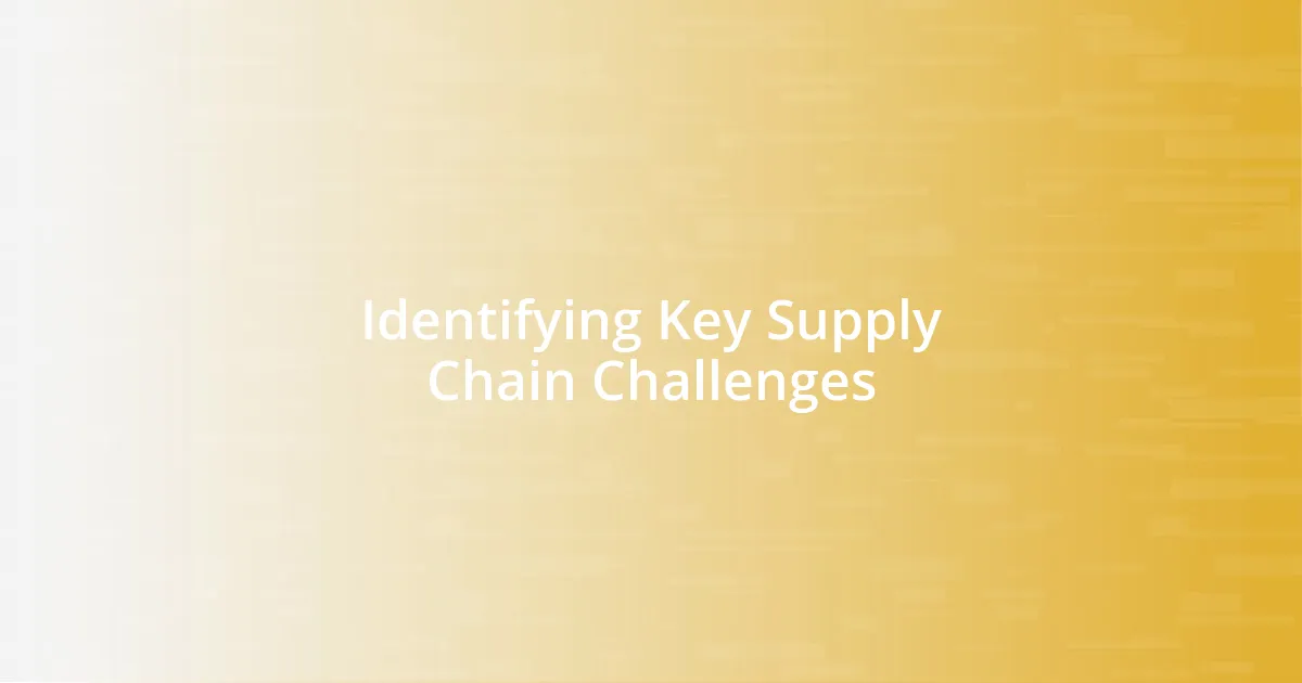 Identifying Key Supply Chain Challenges