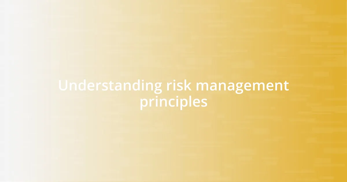 Understanding risk management principles