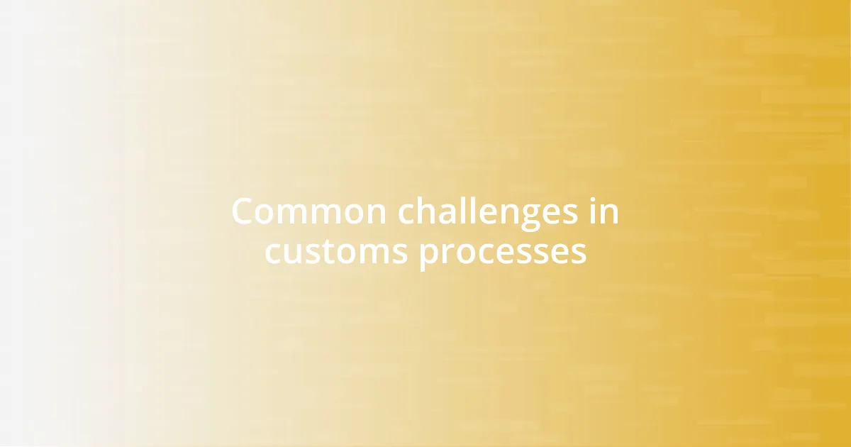 Common challenges in customs processes