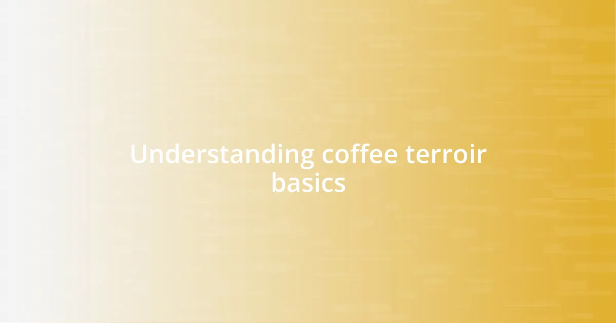 Understanding coffee terroir basics