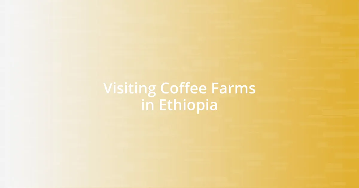 Visiting Coffee Farms in Ethiopia