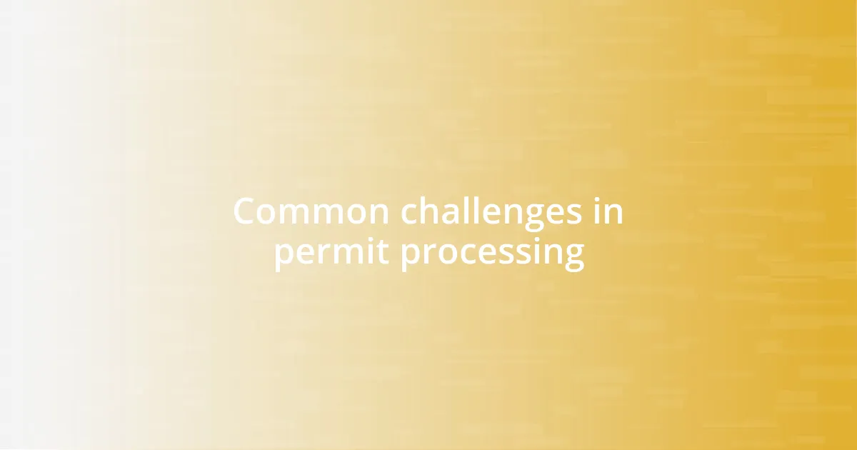 Common challenges in permit processing